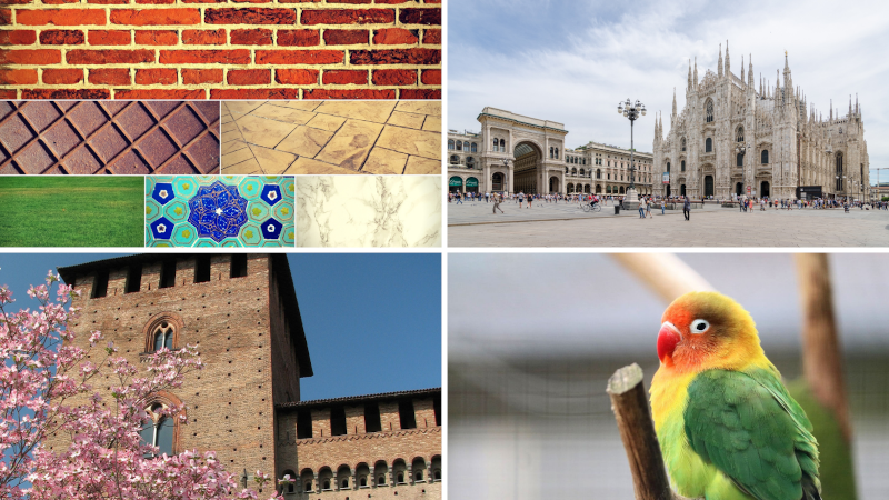 immagine articolo Milano