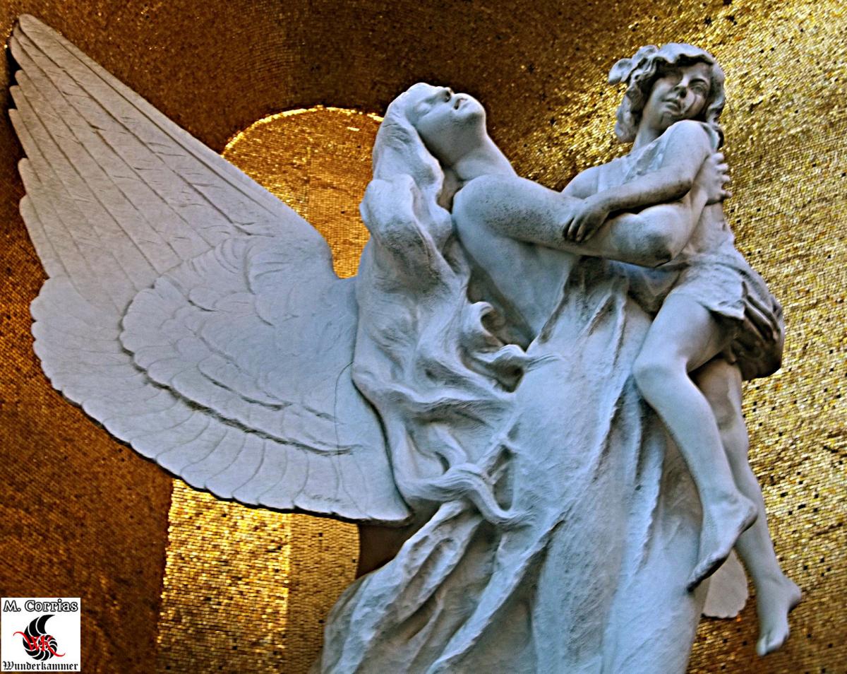 Edicola Elisi, "Gigli del Paradiso" (Francesco Penna,1916)