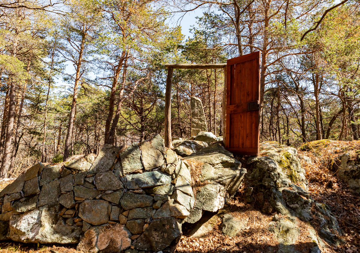 immagine land art