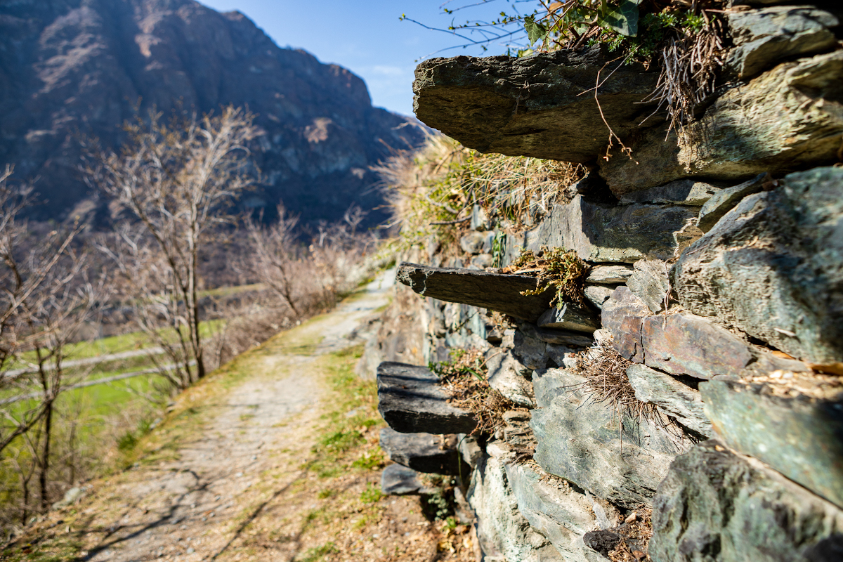 immagine strada